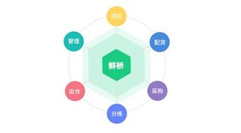 鮮橋訂貨軟件 賦能農產品流通，讓晝夜奔忙更從容